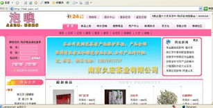 携手构建卓越商品销售网站 任务交流与开发策略指南